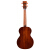 恩雅（enya）EUC-K 1相思木全スノボル演奏級ウクレレ専门家uulele 23レンチチ小さなギタウクレ楽器