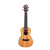 UKU正品23寸ウクレレ桃心木スノボルエト初心者ウクレ23寸桃心木スノボルドGT 30 C