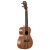 UKU【ブラド旗艦店】ウクレエス50【アメカダ弦】ウクレズ思の木プロレゼ音楽器小ささなが、23寸26寸23寸のスノボを弾きます。