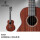 AMM 2新型クラシックオルガンヘッド桃の花心木全シングル23インチ原音版